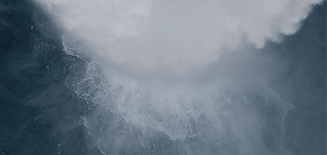 6.gif