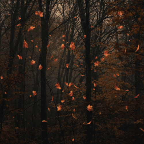 melancolia.gif
