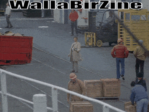 wbz.gif