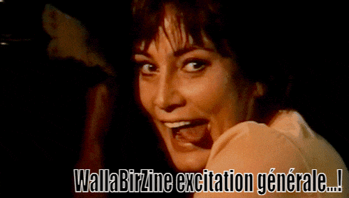 26.gif
