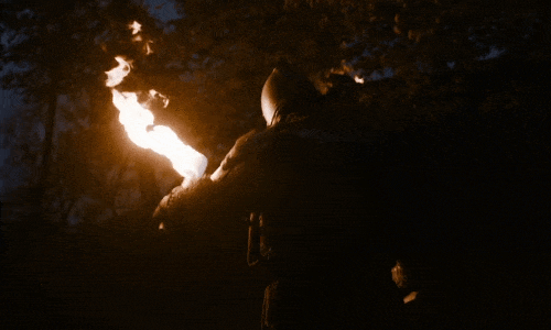 fin_2.gif