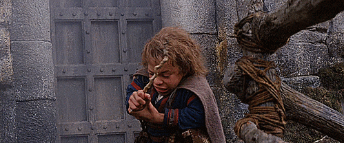 5.gif