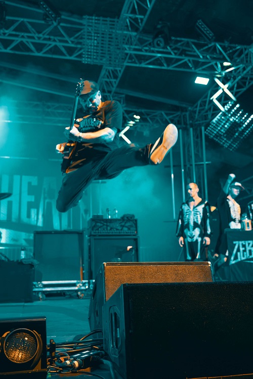 ZEBRAHEAD.JPG
